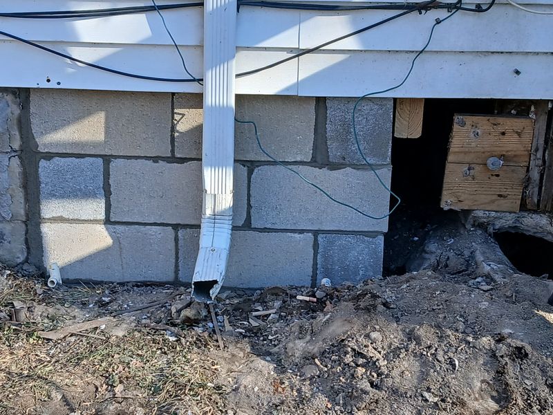 Shoring and Subfloor repair