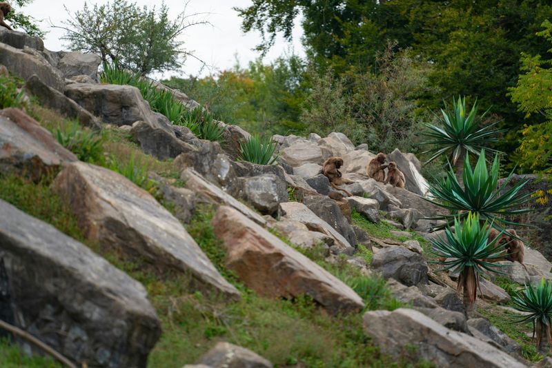 Landscape Design
