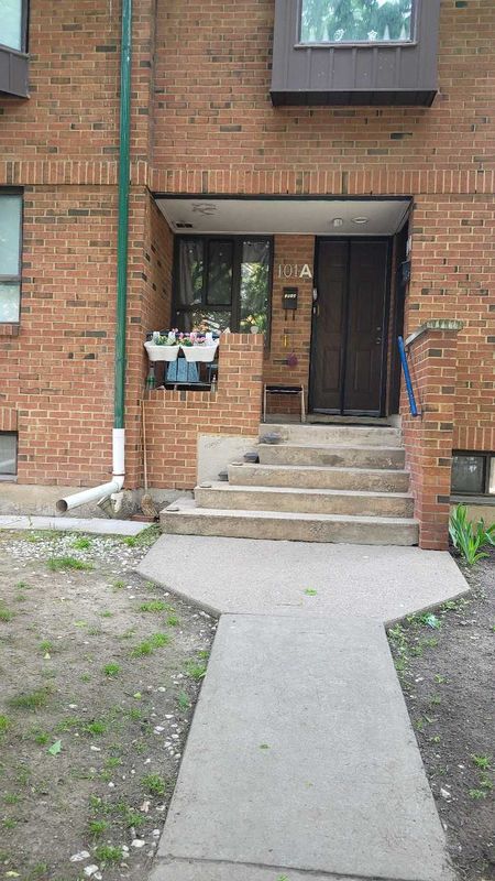 Toronto Roof Revamp: Enhancing Durability and Drainage with Triumph Inc