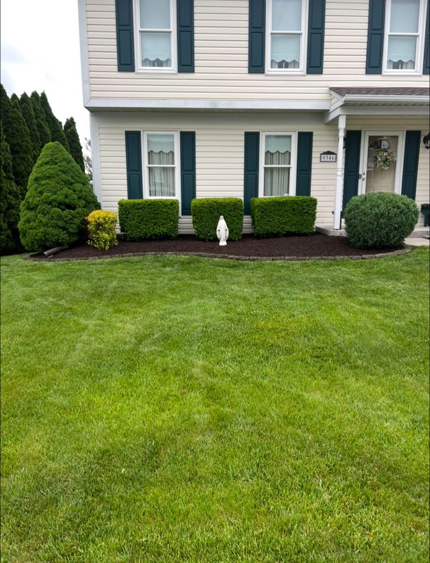 Lawn Maintenance