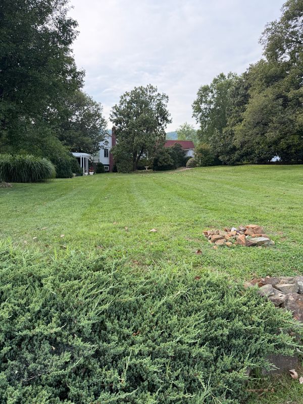 Lawn Maintenance