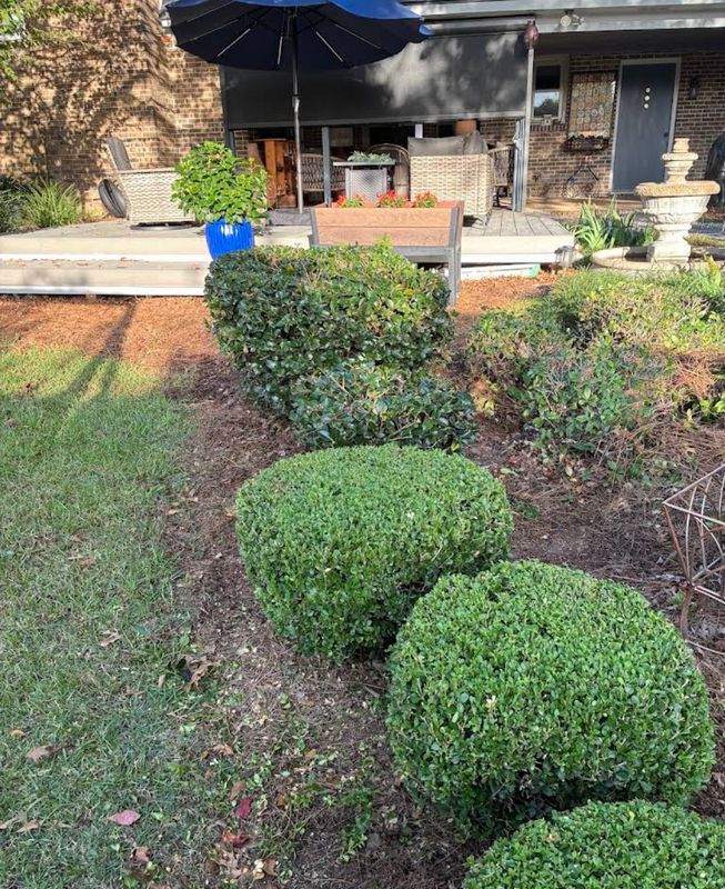 Tree and Shrub Care