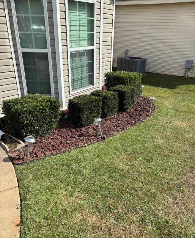 Tree and Shrub Care
