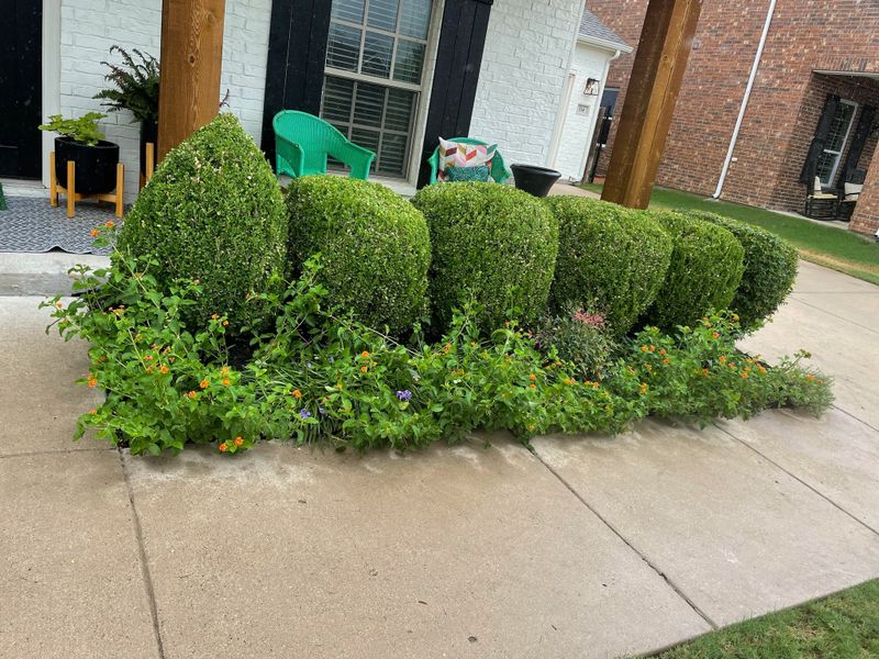 Hardscaping