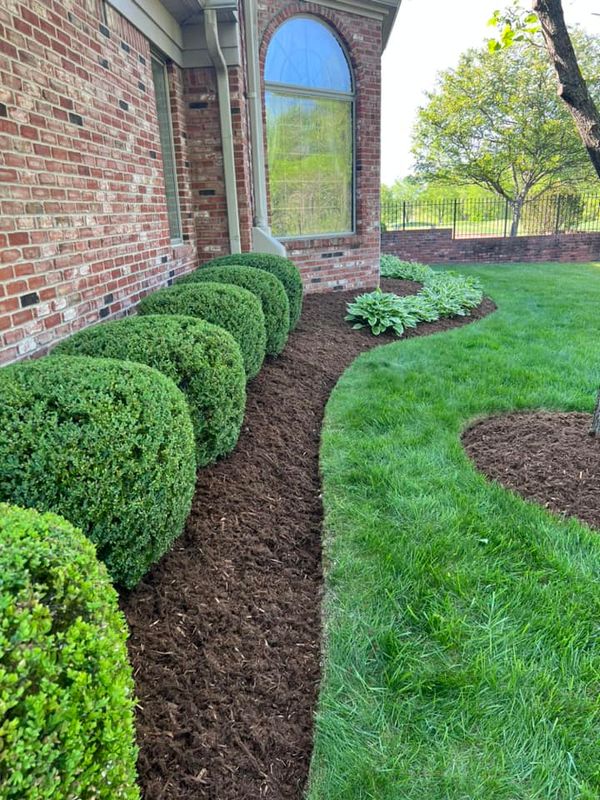 Shrub Trimming