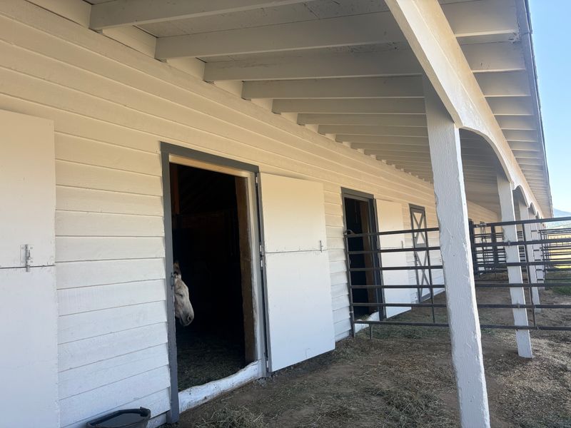 Exterior Painting