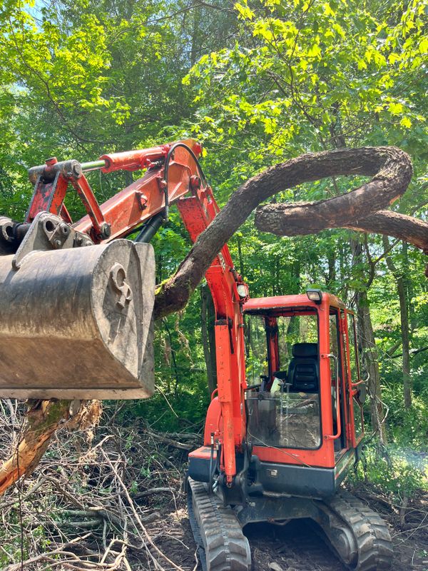 Brush & Tree Removal