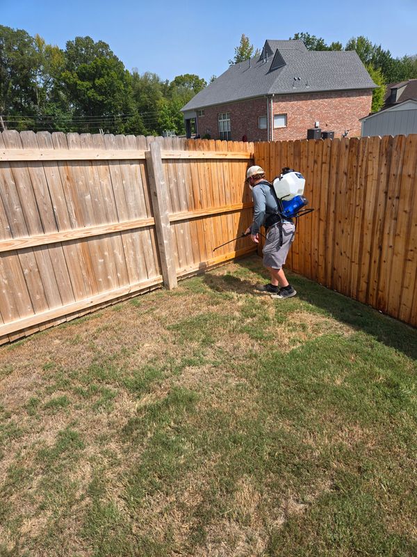 Fence staining gallery