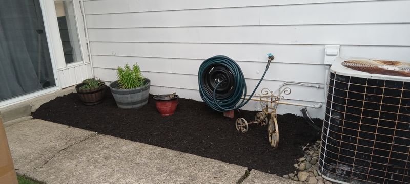 Fall Clean Up