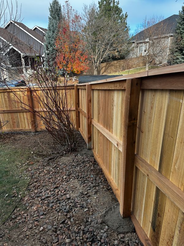 Shrub Trimming