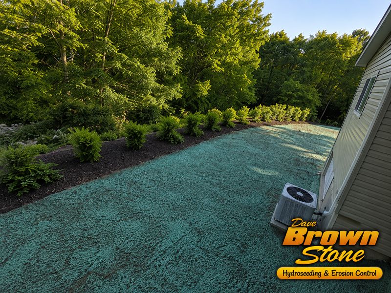 Hydroseeding