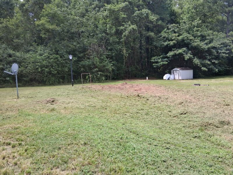 River Bank Clearing  gallery