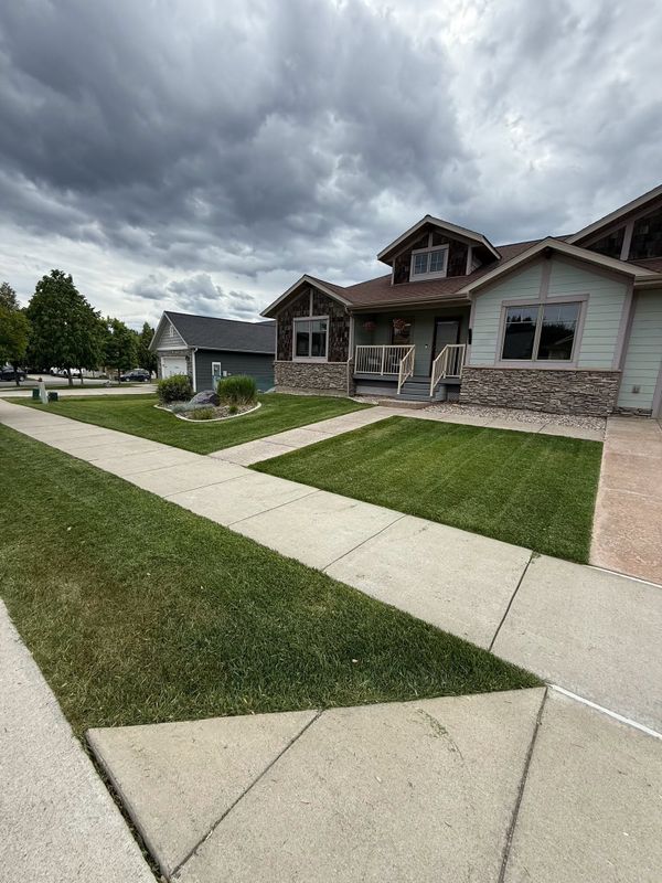 Lawn Maintenance