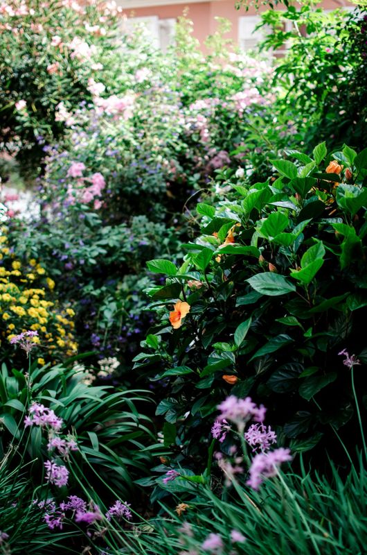 Landscape Design