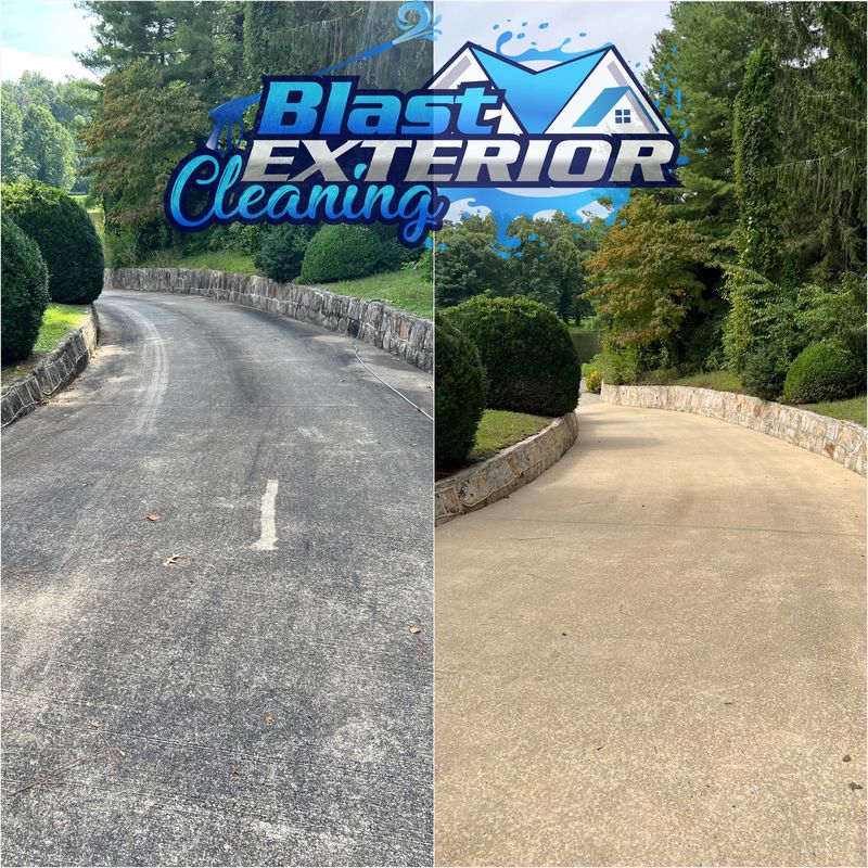Driveway and Sidewalk Cleaning