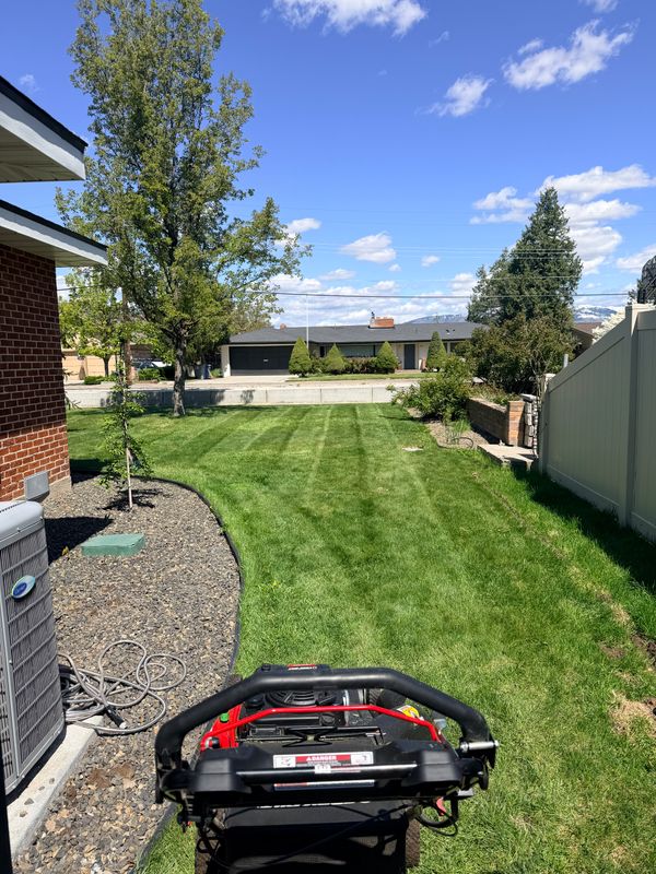 Lawn Mowing and Maintenance