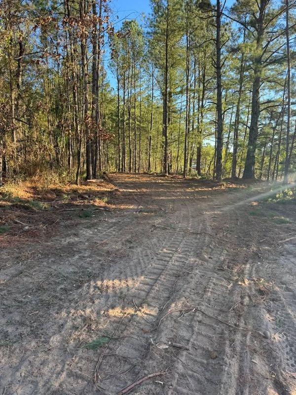 Land Clearing
