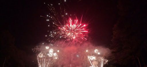 Gender Reveal Firework Displays / Show