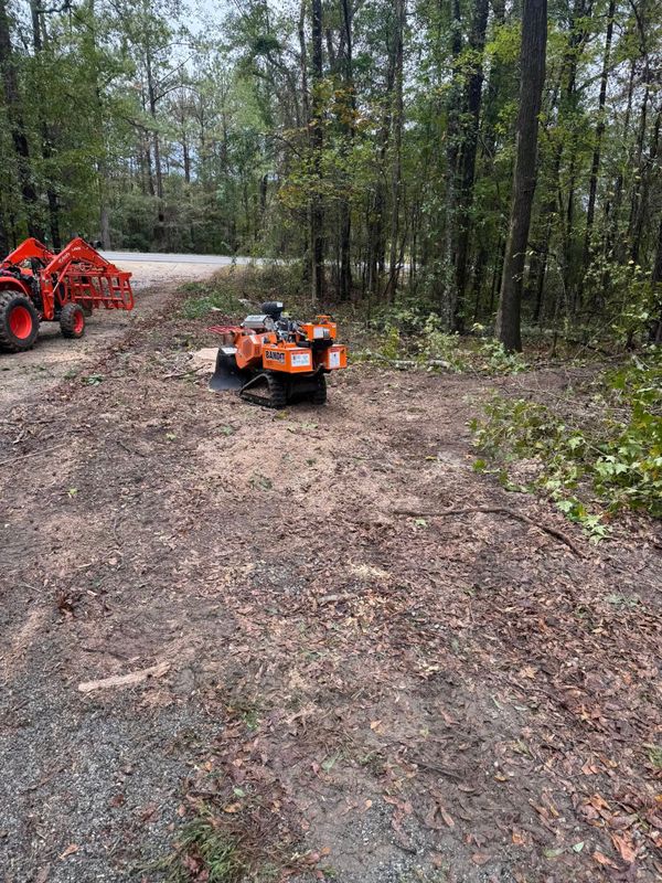 Stump Grinding gallery