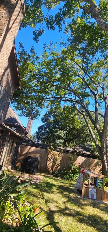Tree Trimming