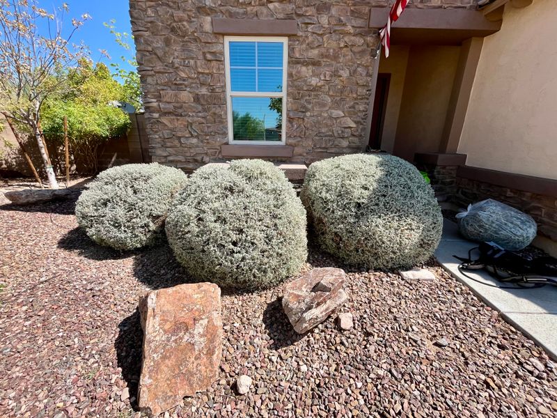 Residential Landscaping