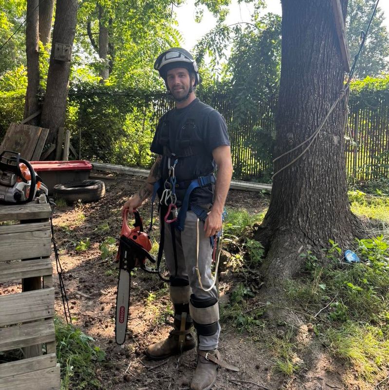 Tree Trimming