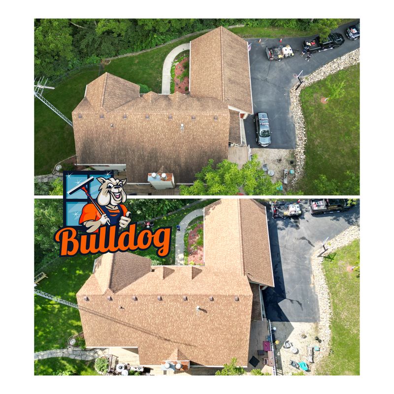 Roof Cleaning