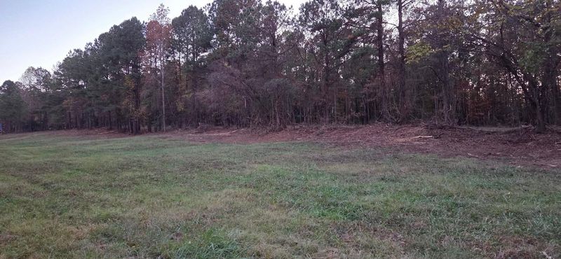 Brush Cutting