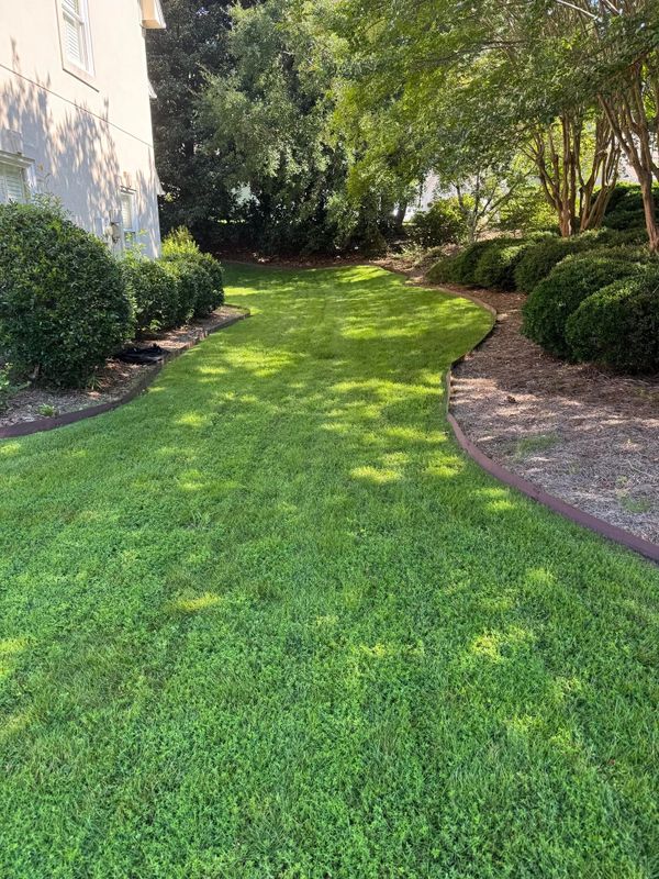 Garden Design and Installation