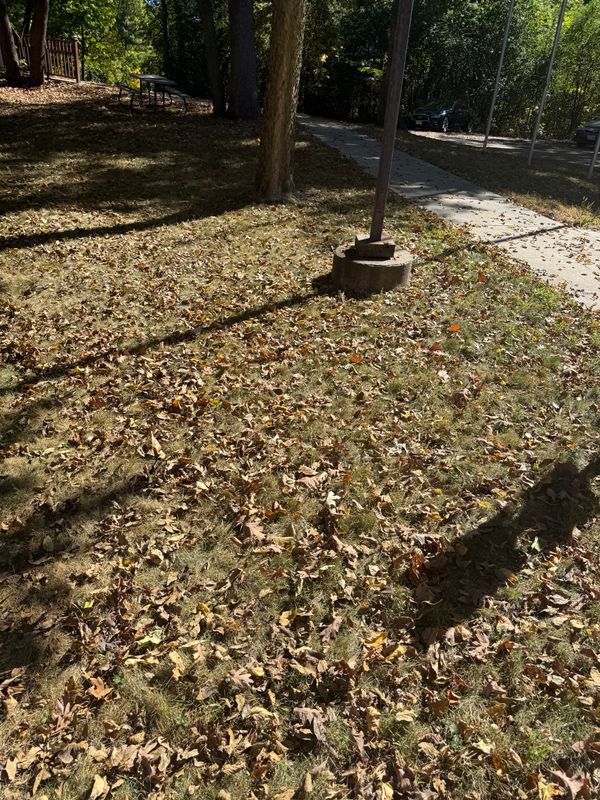 Lawn Care
