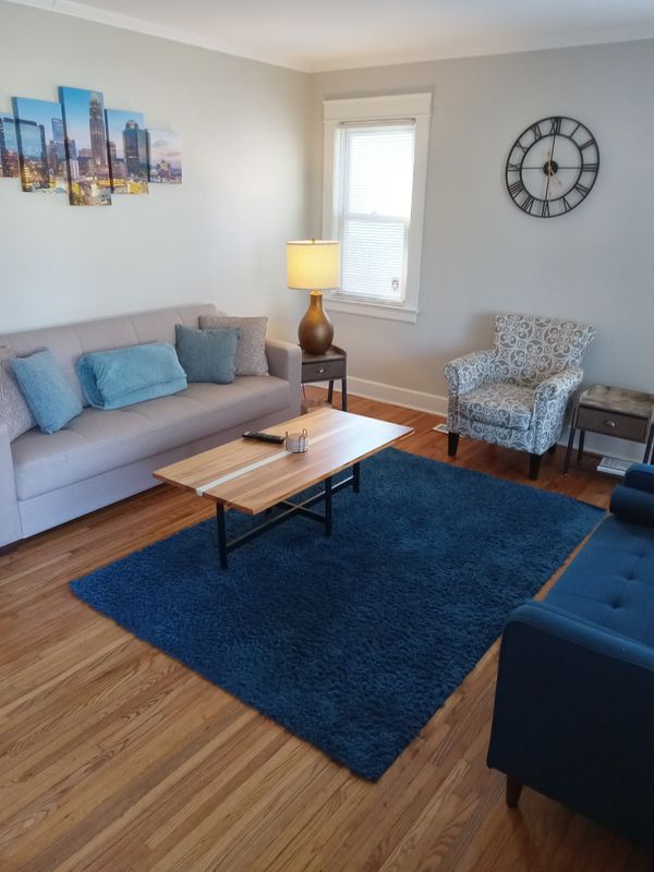 Living Room Cleaning
