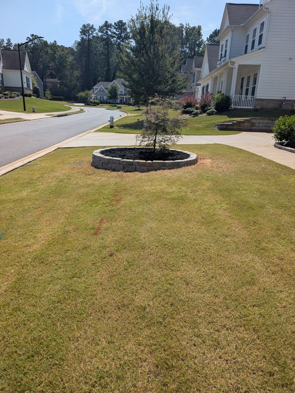 Retaining Walls