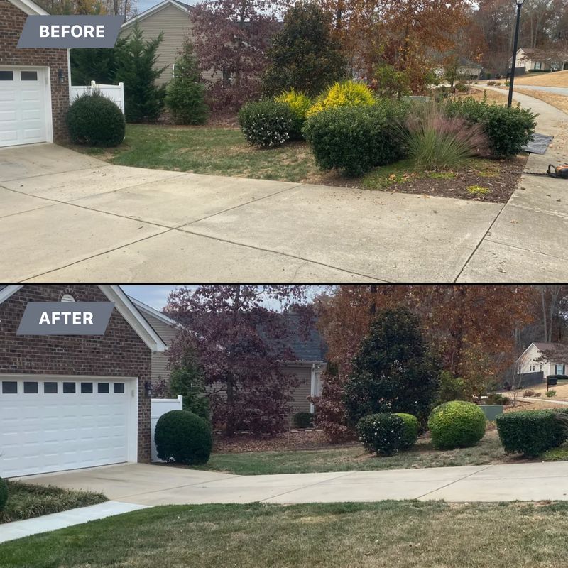 Shrub trimming 