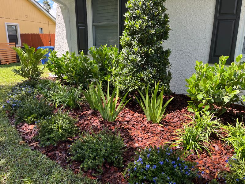 Landscape Design and Installation