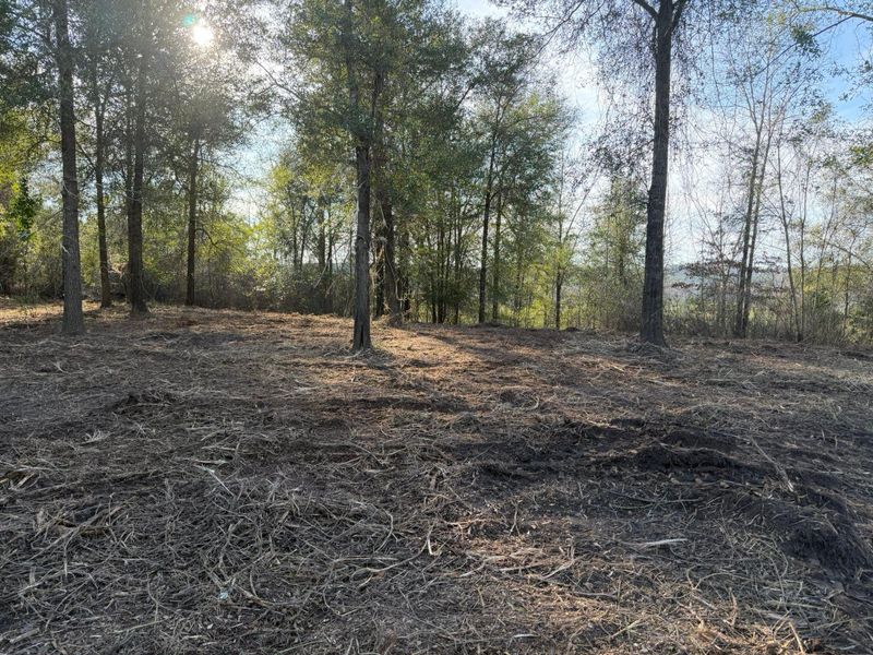 Forestry Mulching