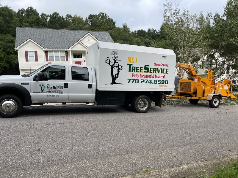 Fall Clean Up