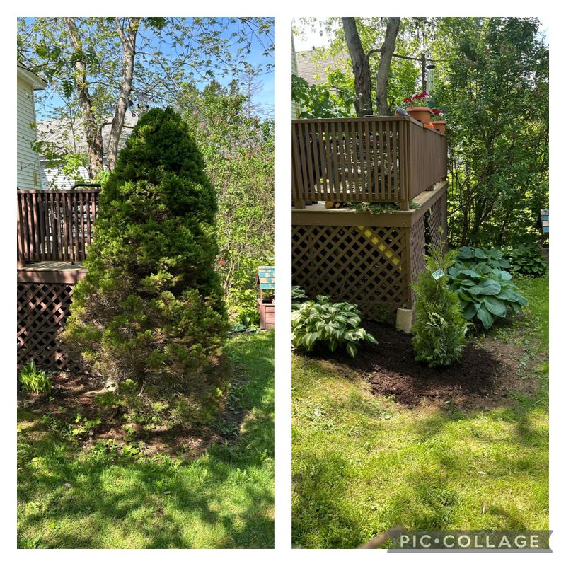 Landscaping gallery