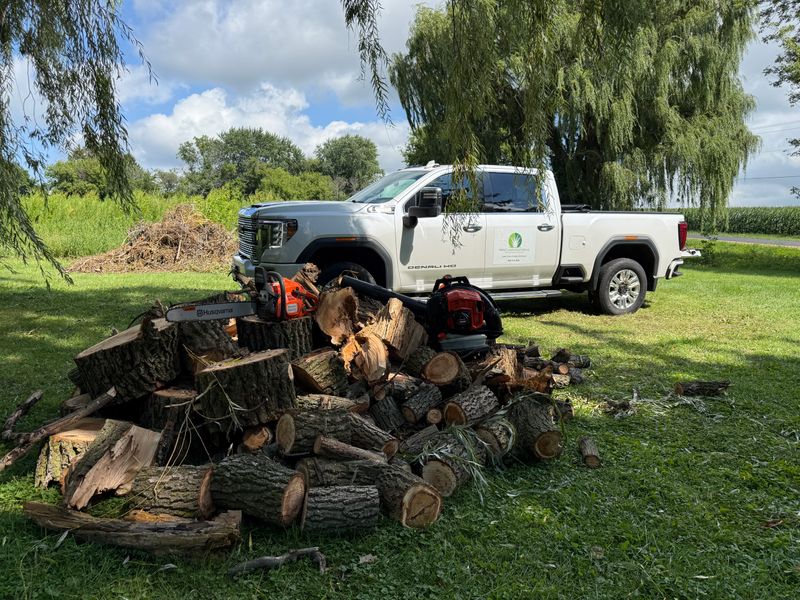 Spring Clean Up