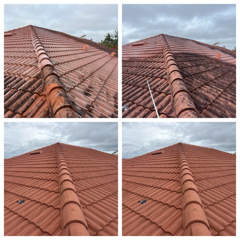Roof And Exterior Cleaning
