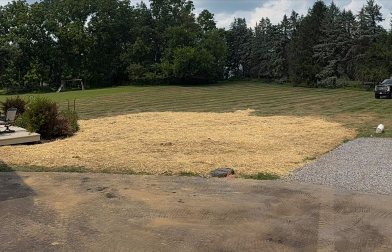 Land Clearing & Mulching