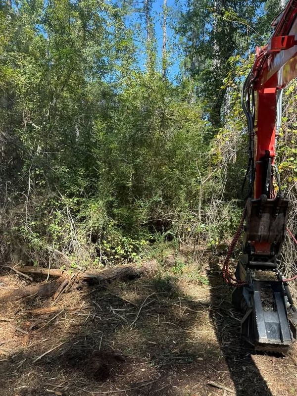 Land Clearing