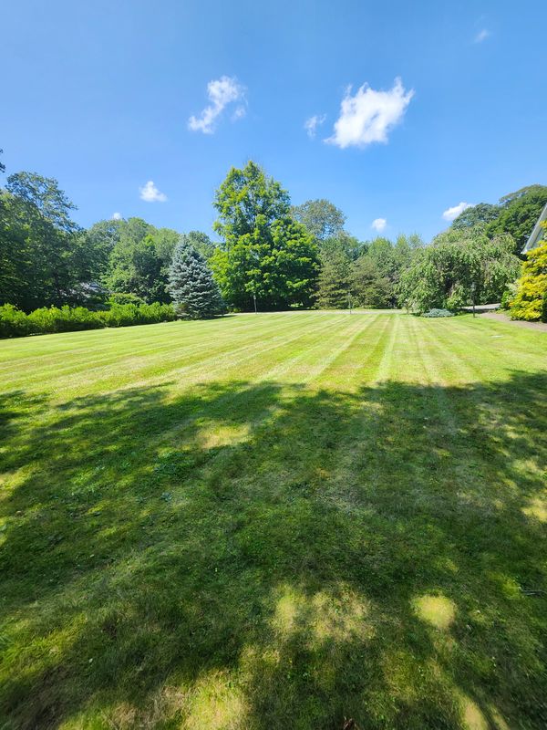 Lawn Mowing