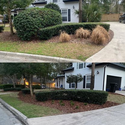 Landscape Cleanup
