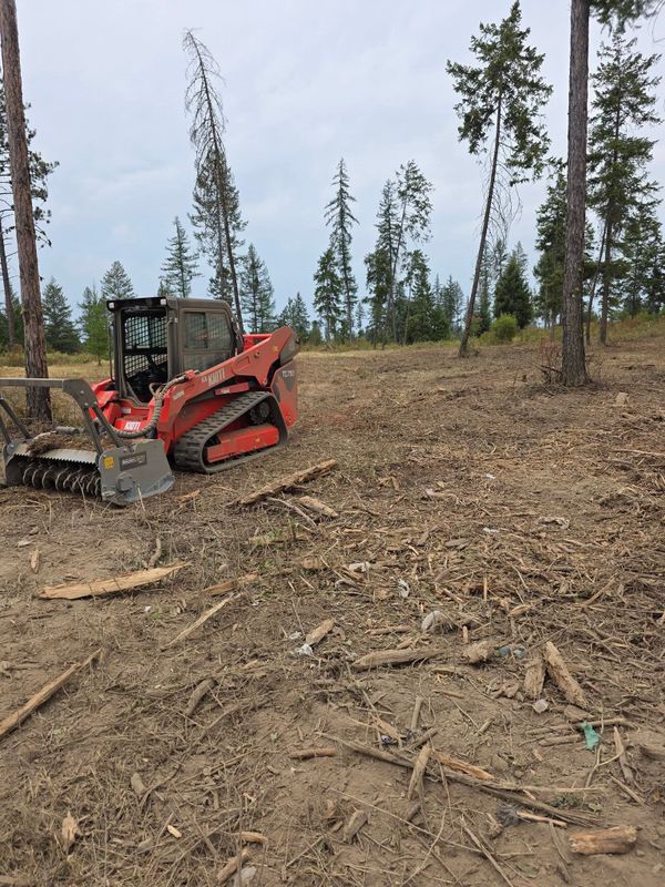Forestry Mulching