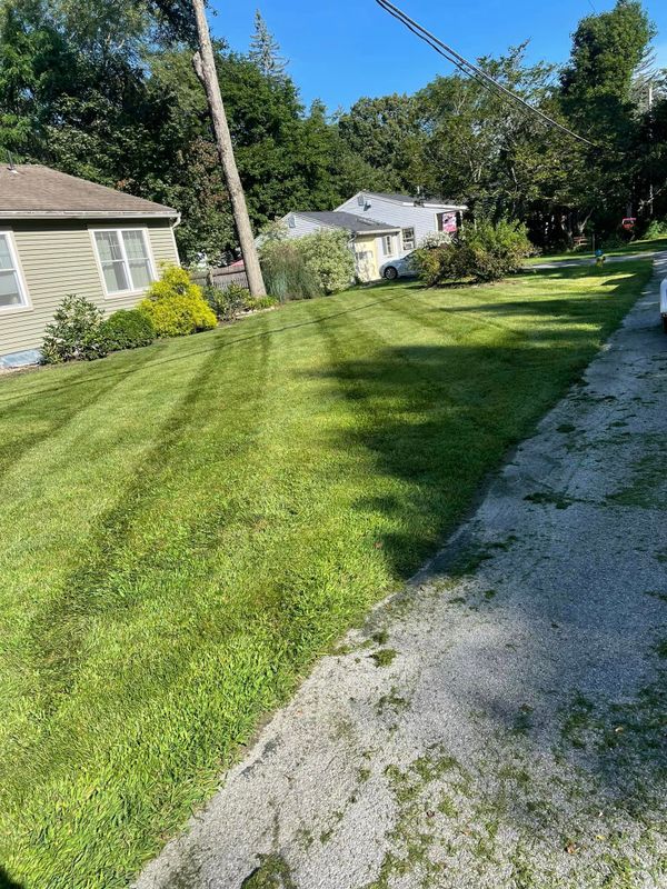 Lawn Maintenance