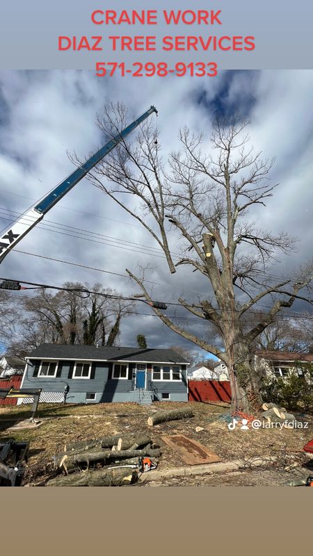 Crane services
