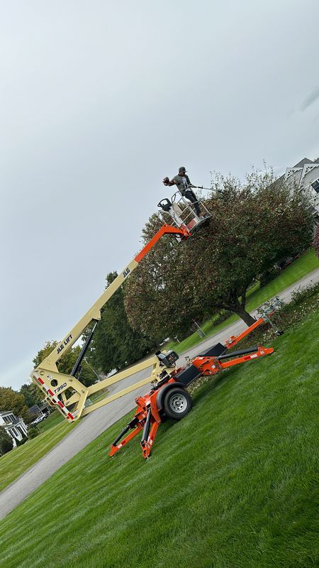 Shrub Trimming