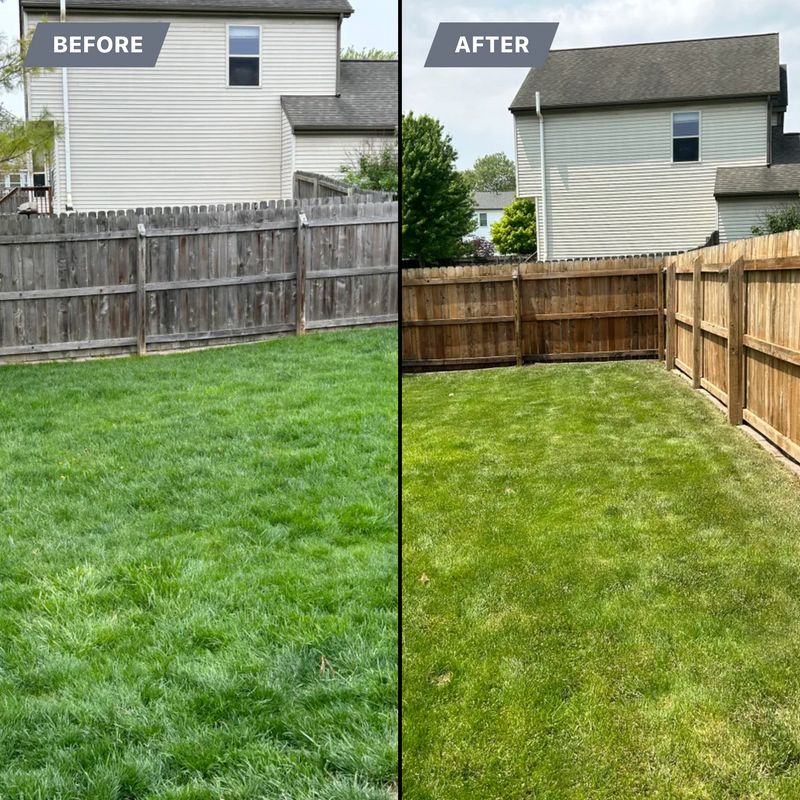 Wood Deck & Fence Restoration