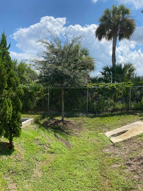 Shrub Trimming