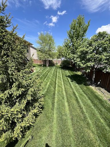 Lawn Maintenance